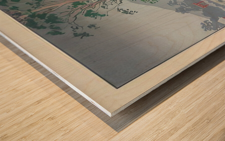 suchiya Koitsu 11 Wood print