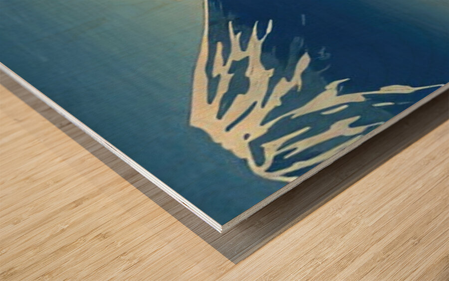 suchiya Koitsu 14 Wood print