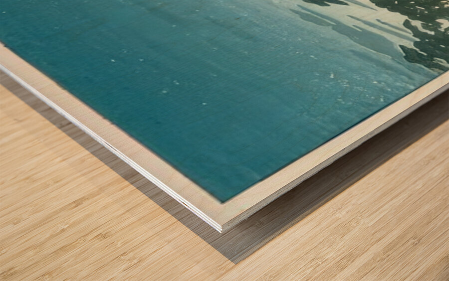 suchiya Koitsu 18 Wood print