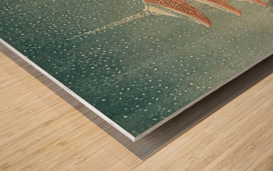 suchiya Koitsu 19 Wood print