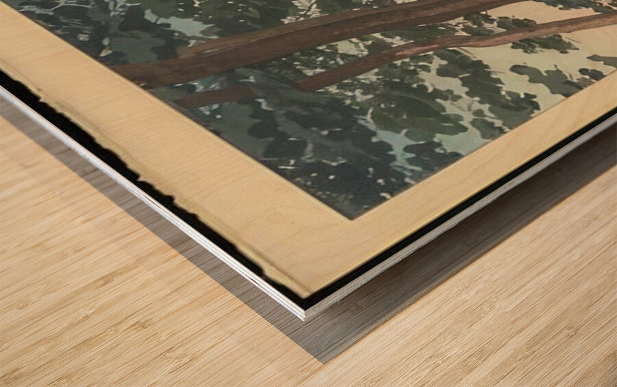 suchiya Koitsu 21 Wood print