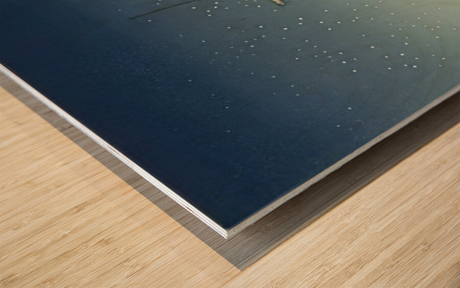 suchiya Koitsu 24 Wood print