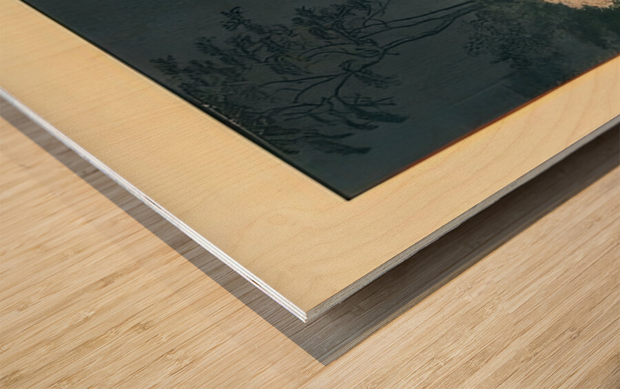 suchiya Koitsu 25 Wood print