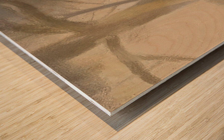 Clarice Beckett 1 Wood print