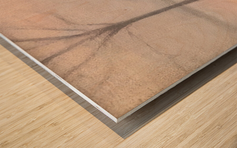 Clarice Beckett 10 Impression sur bois