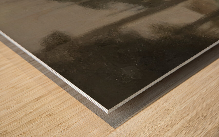 Clarice Beckett 23 Wood print