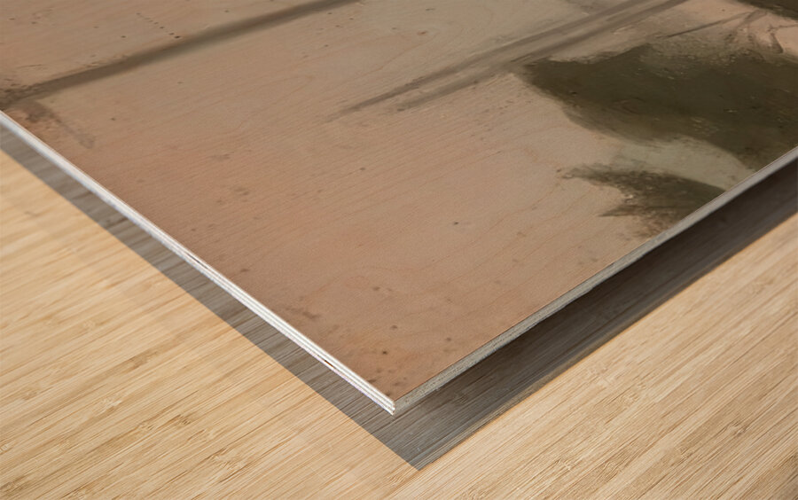 Clarice Beckett 44 Wood print