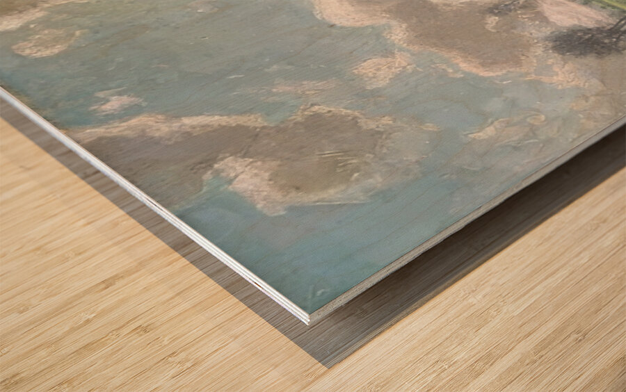 Manly Edward MacDonald   21 Wood print