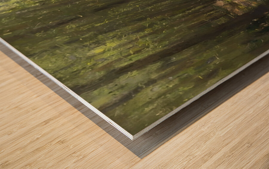 Manly Edward MacDonald   19 Wood print