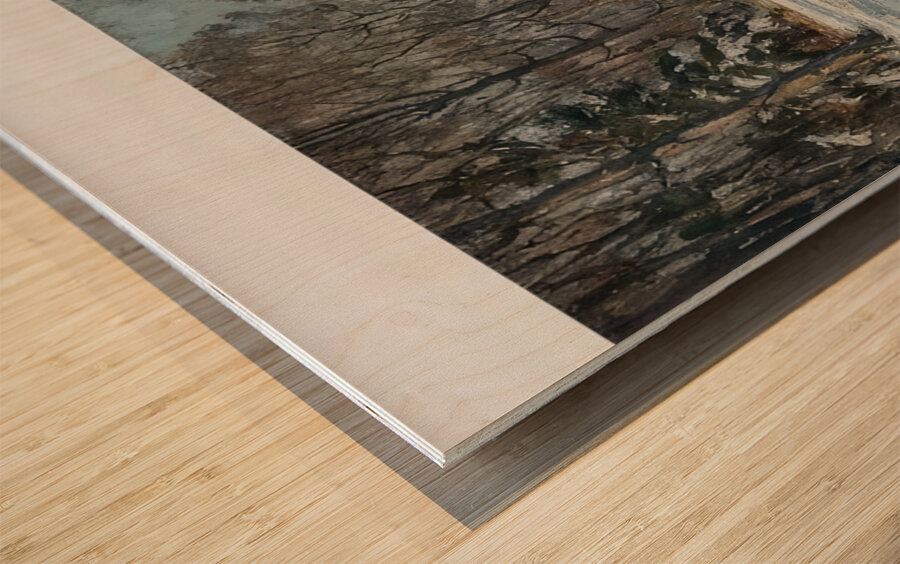 Manly Edward MacDonald   20 Wood print