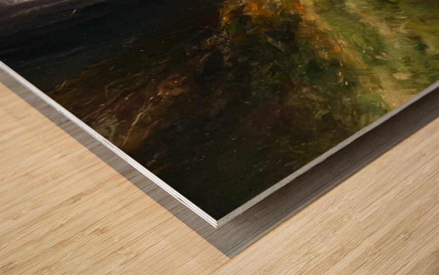 Manly Edward MacDonald   35 Wood print