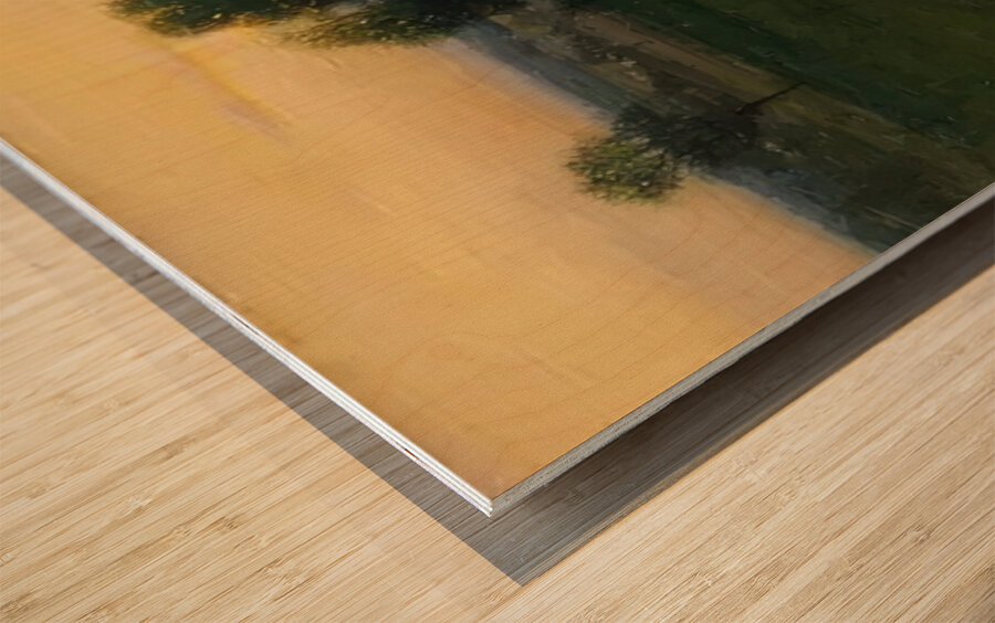 Manly Edward MacDonald   38 Wood print