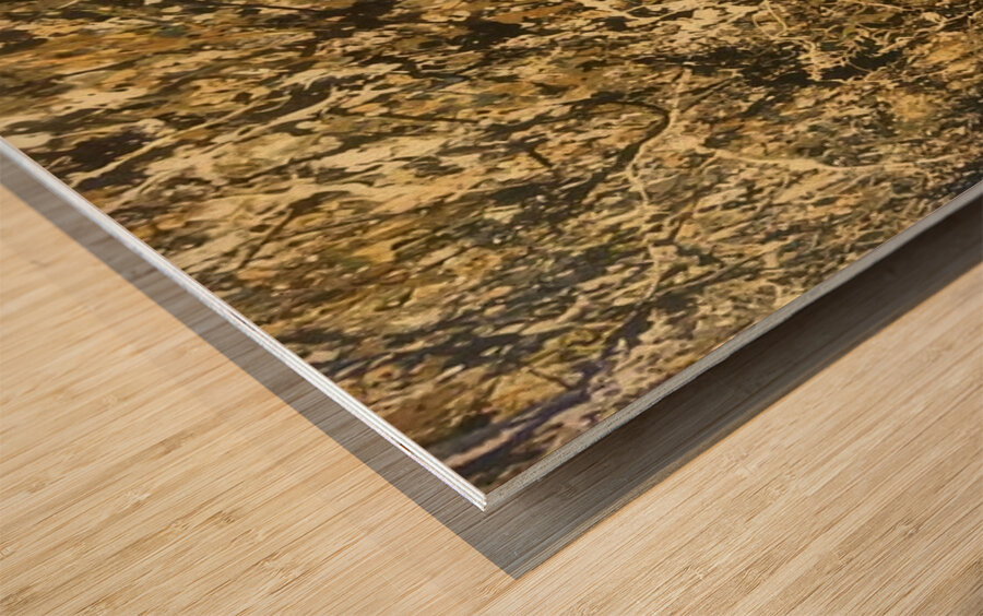 Jackson Pollock 7 Wood print