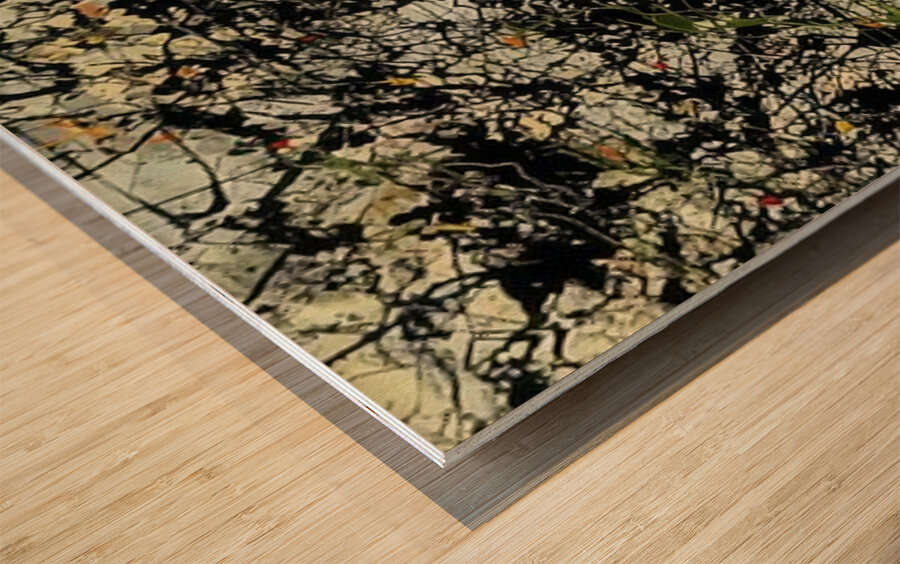 Jackson Pollock 9 Wood print