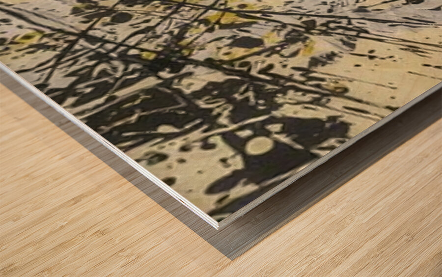 Jackson Pollock 20 Wood print