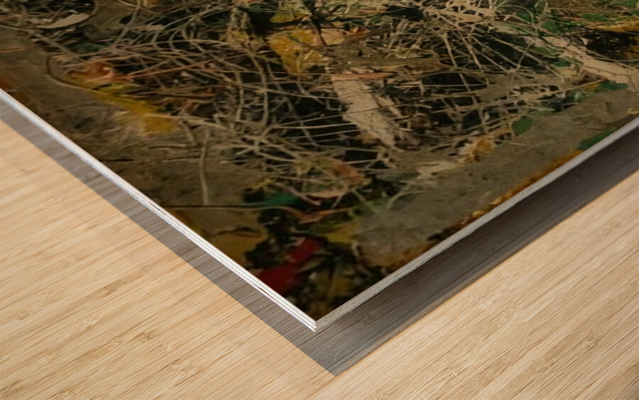 Jackson Pollock 27 Wood print