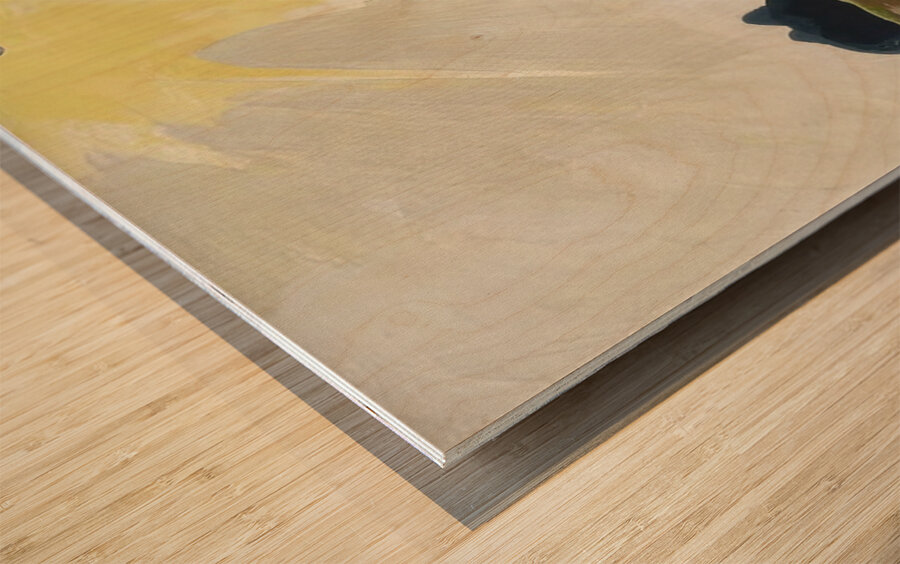 Arthur Dove 14 Wood print