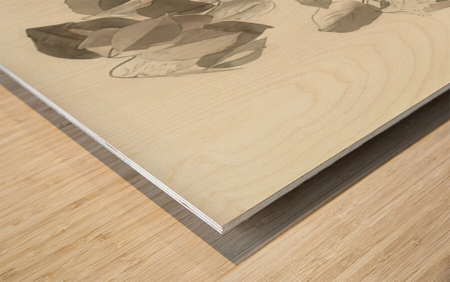 Augusto Giacometti 5 Wood print