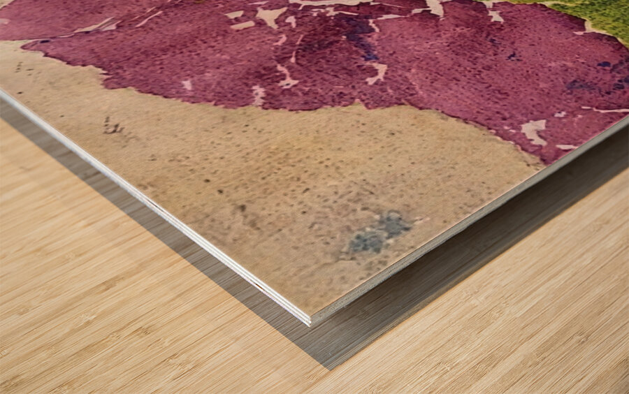 Augusto Giacometti 13 Wood print