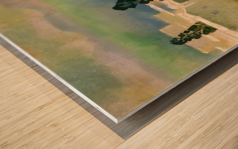 Augusto Giacometti 21 Wood print