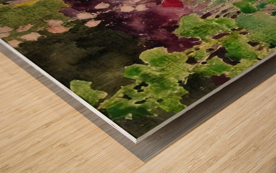 Augusto Giacometti 28 Wood print