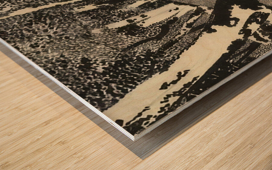 Augusto Giacometti 8 Wood print