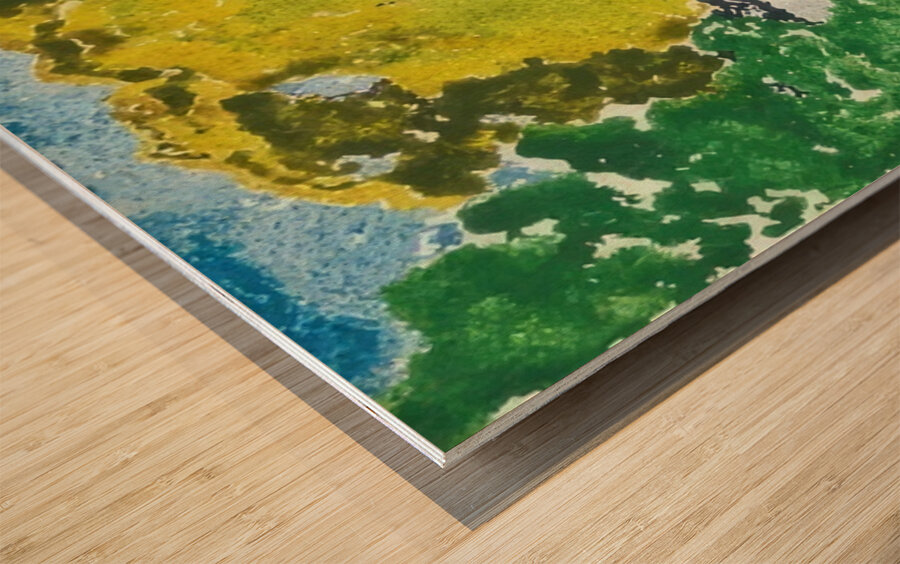 Augusto Giacometti 9 Wood print