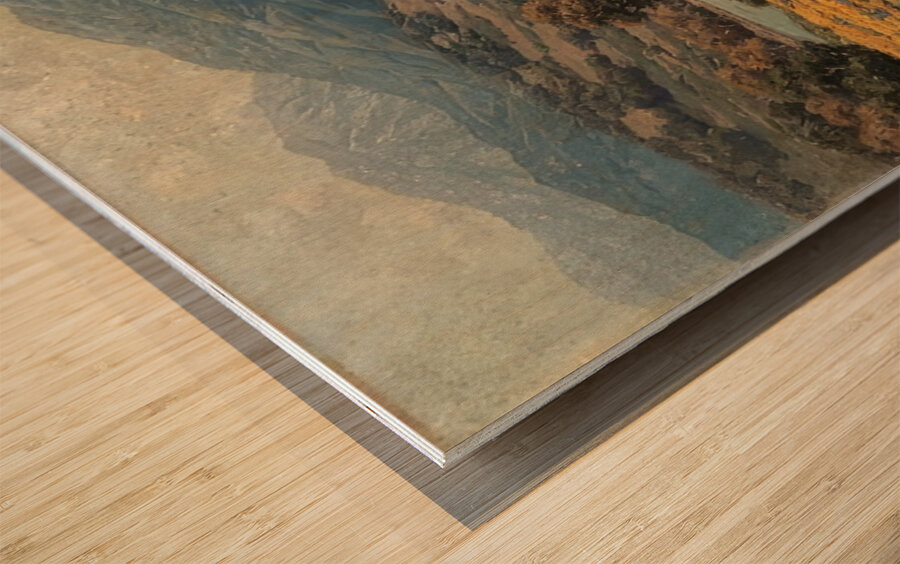 Granville Redmond 32 Wood print