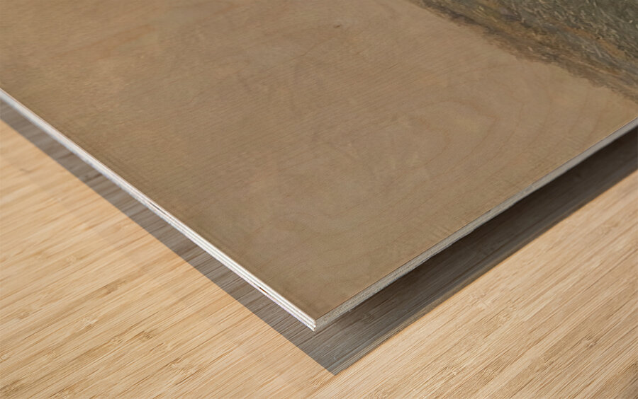 Granville Redmond 48 Wood print