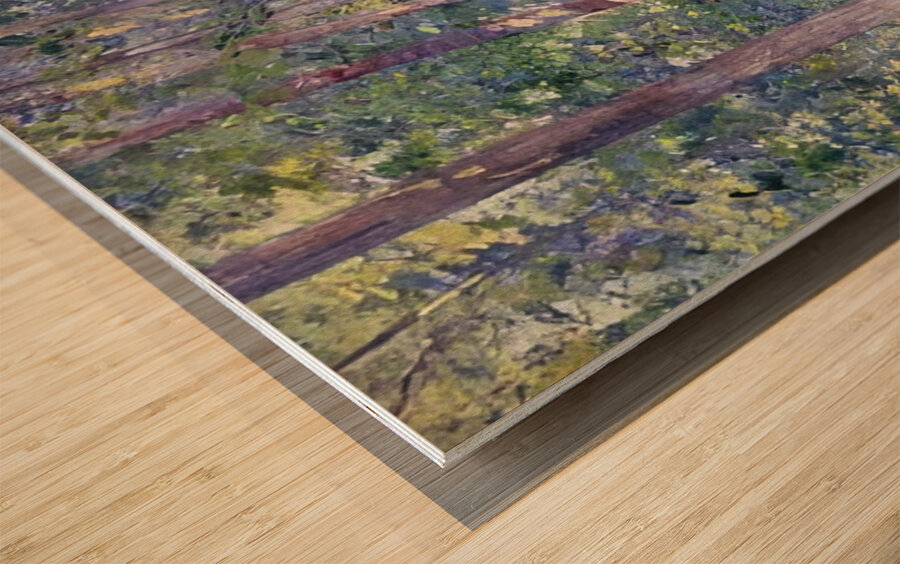 Alson Skinner Clark 6 Wood print