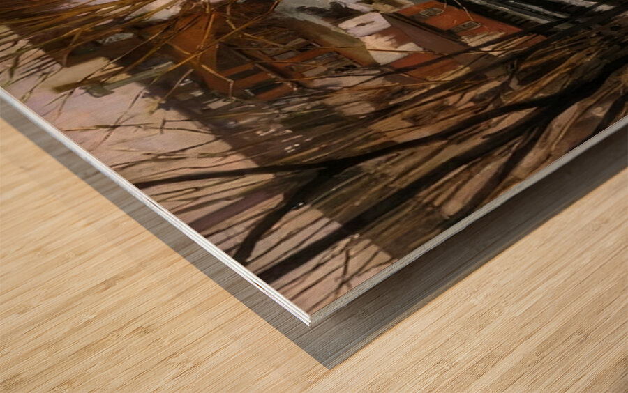 Alson Skinner Clark 15 Wood print