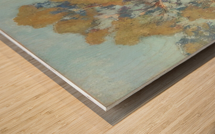 Alson Skinner Clark 18 Wood print