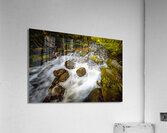 Stream Play Acrylic Print