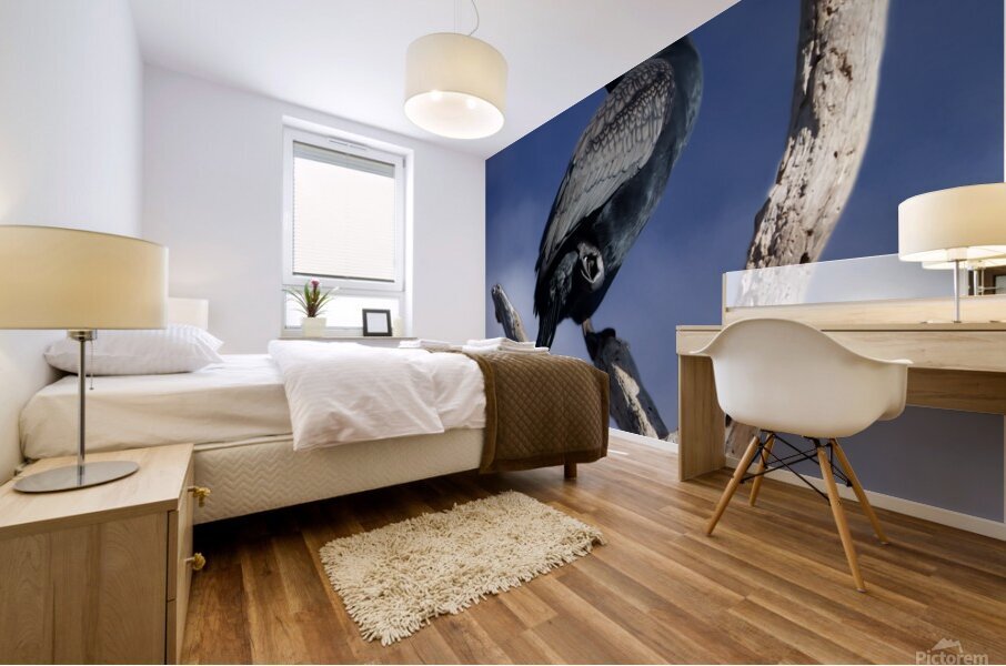 Double Crested Cormorant Mural print