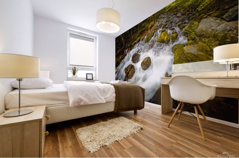Stream Play Mural print