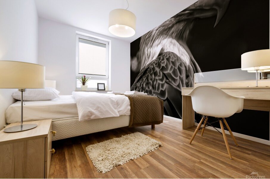 Raptors Gaze Mural print