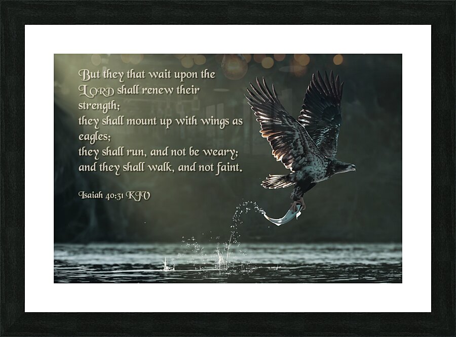 Isaiah 40:31  Picture Frame print