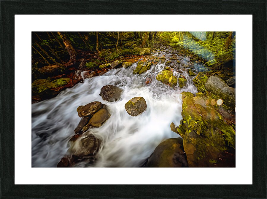 Stream Play Picture Frame print