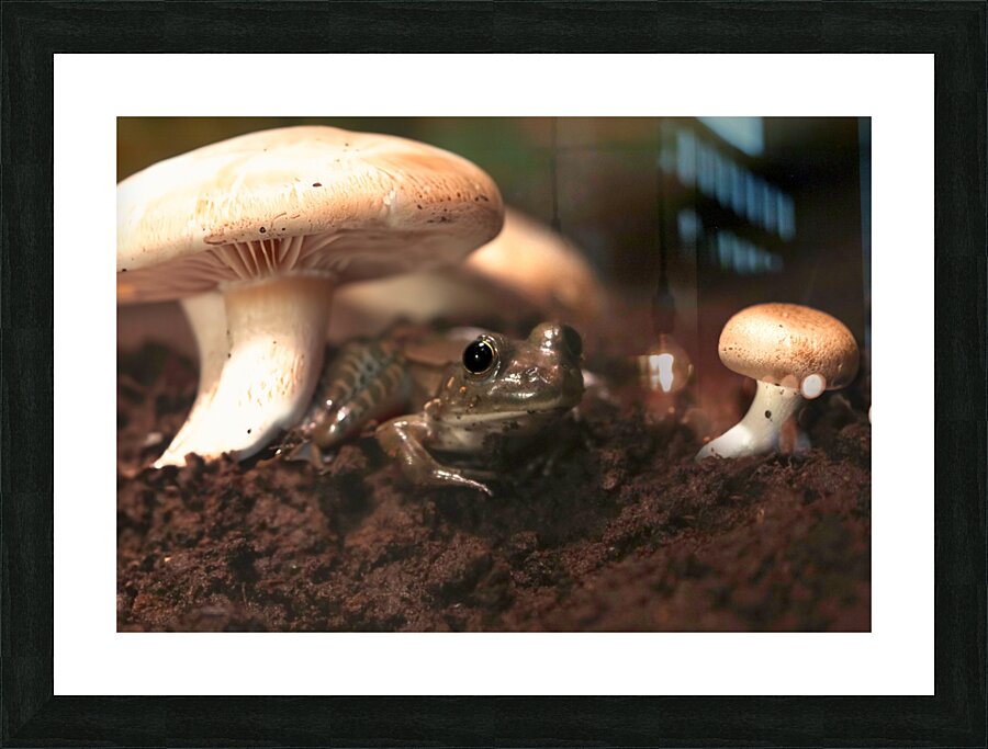 Shroom Life Picture Frame print