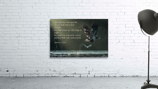 Isaiah 40:31  Wall Preview