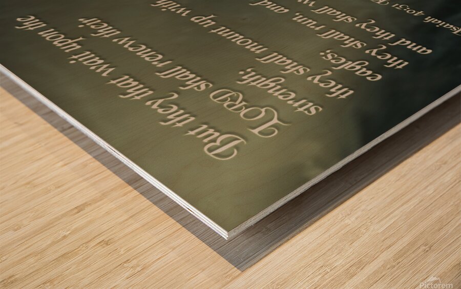 Isaiah 40:31  Wood print