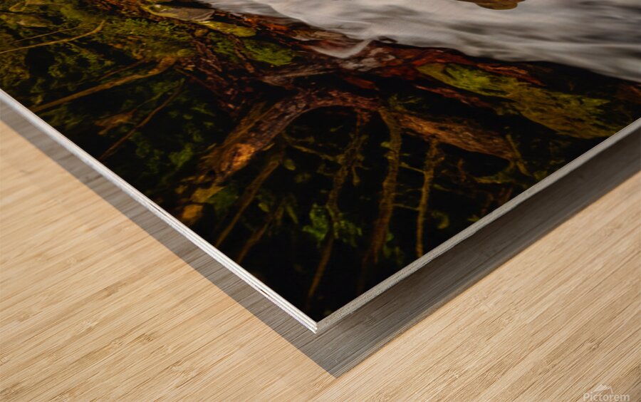 Stream Play Wood print