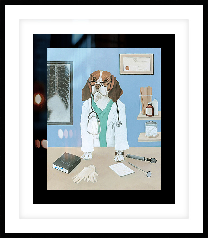 Doc Picture Frame print