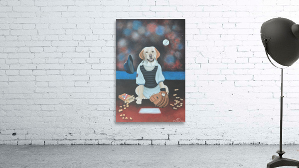 Catcher Wall Preview