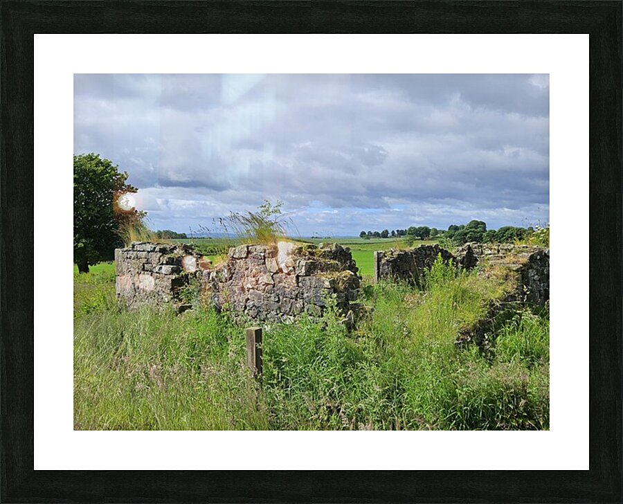 Coo Farm Picture Frame print