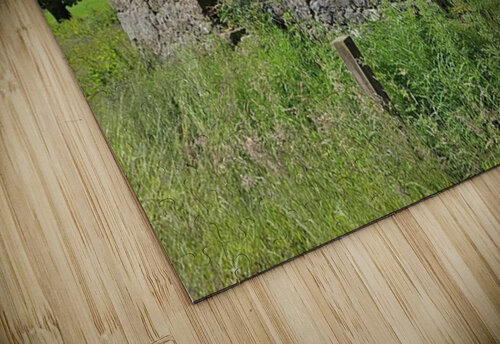 Coo Farm Ohio Master Travelers puzzle
