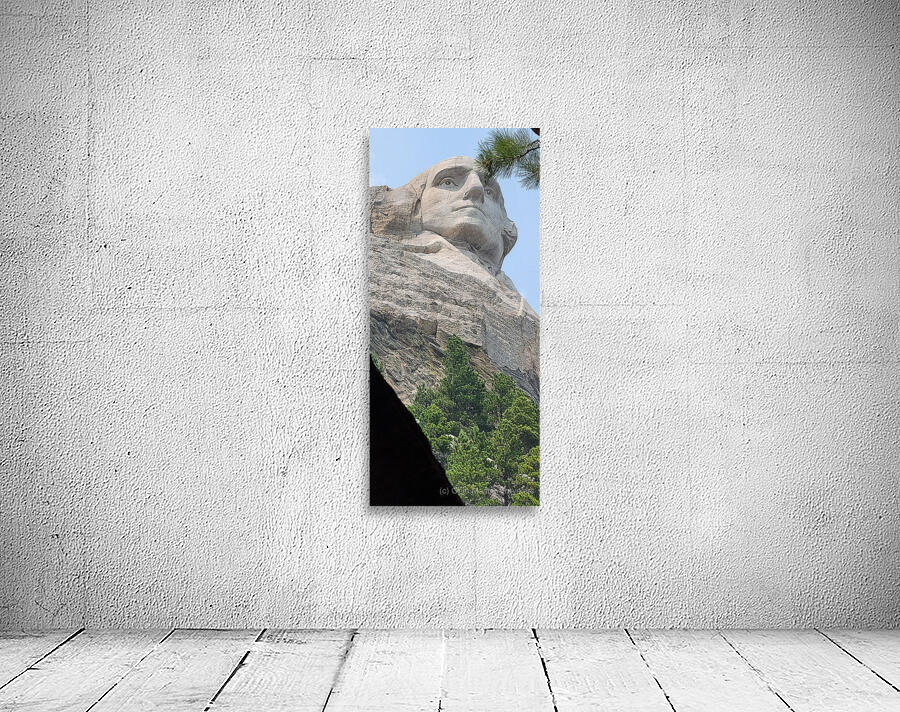 George Washington Wall Preview
