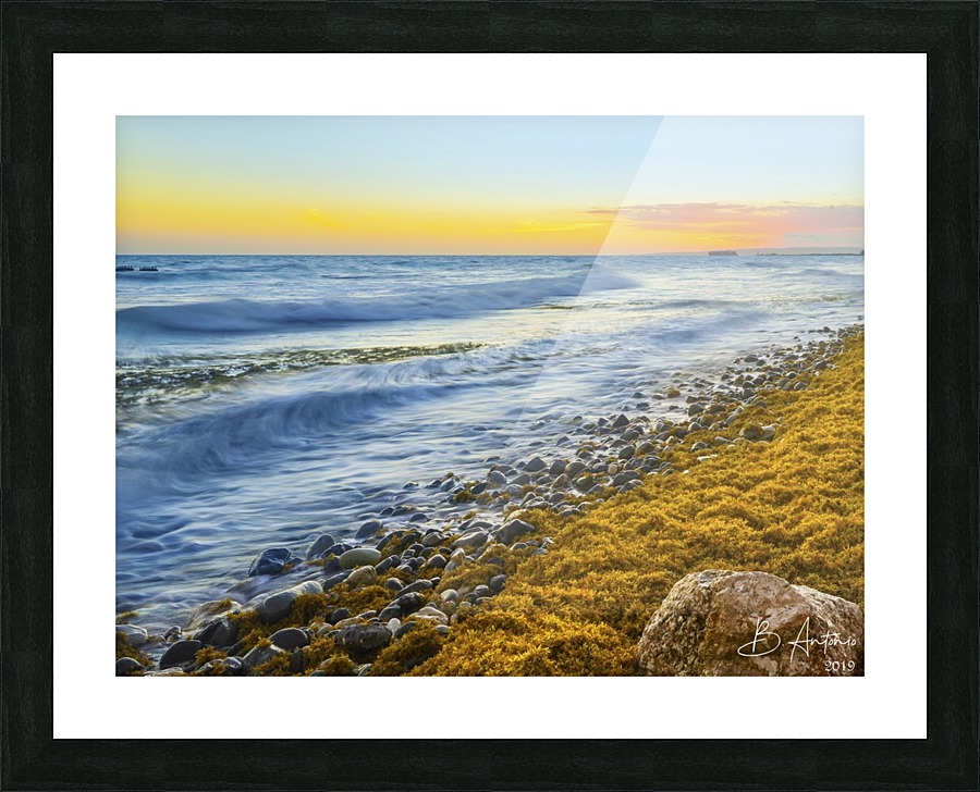 Palisadoes Seascape Picture Frame print