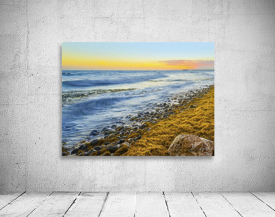 Palisadoes Seascape Wall Preview