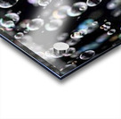 Bubble Acrylic print
